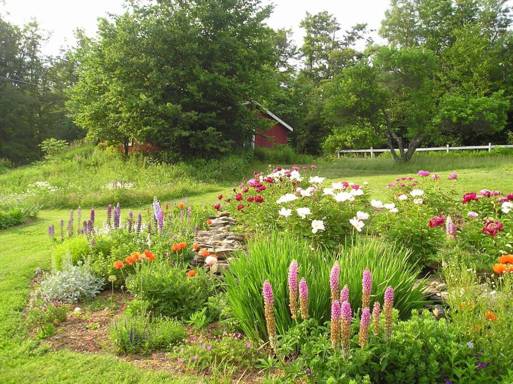 Cooper Hill Inn East Dover Eksteriør bilde